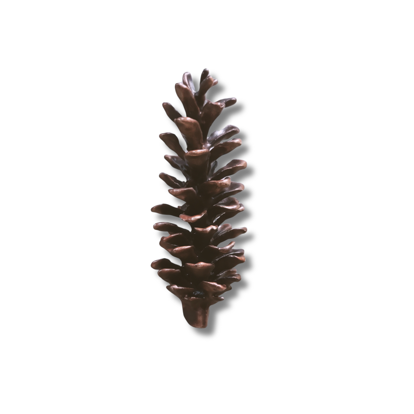 White Pine Cone Door Knocker