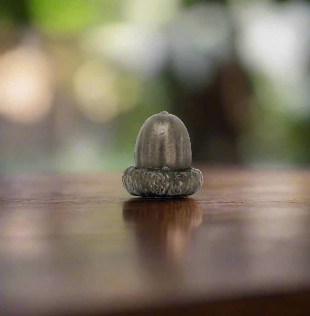 Acorns
