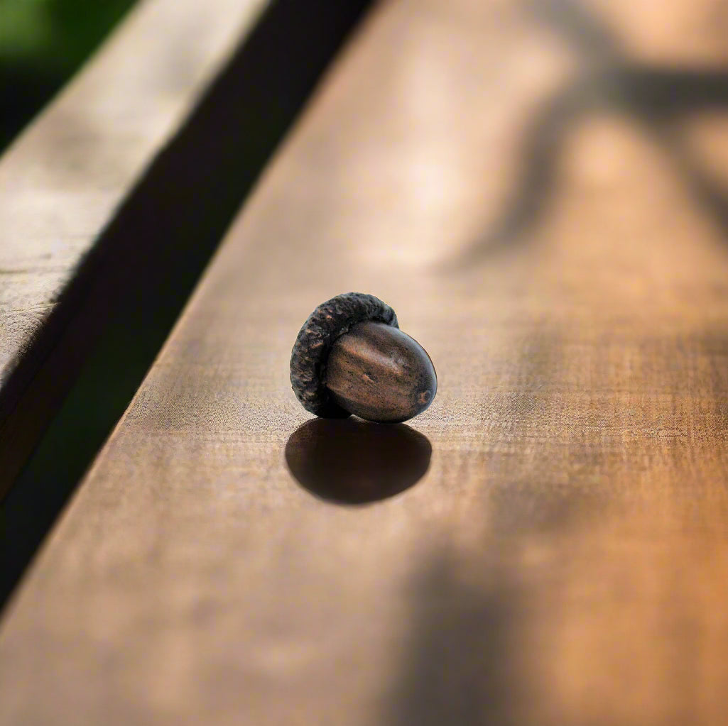 Acorns