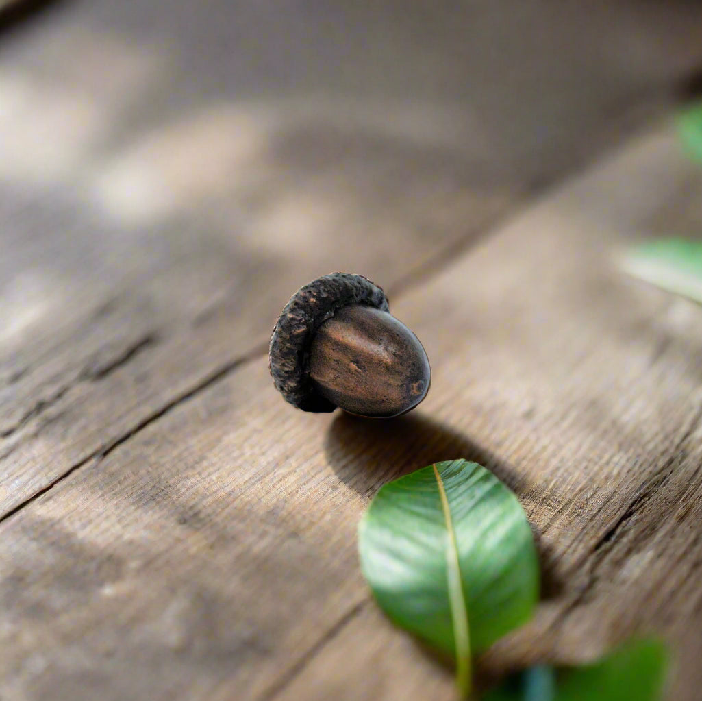 Acorns