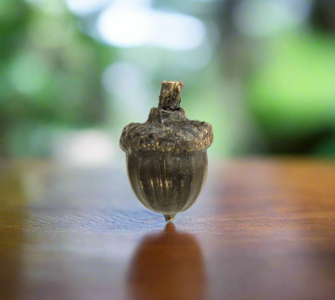 Acorns