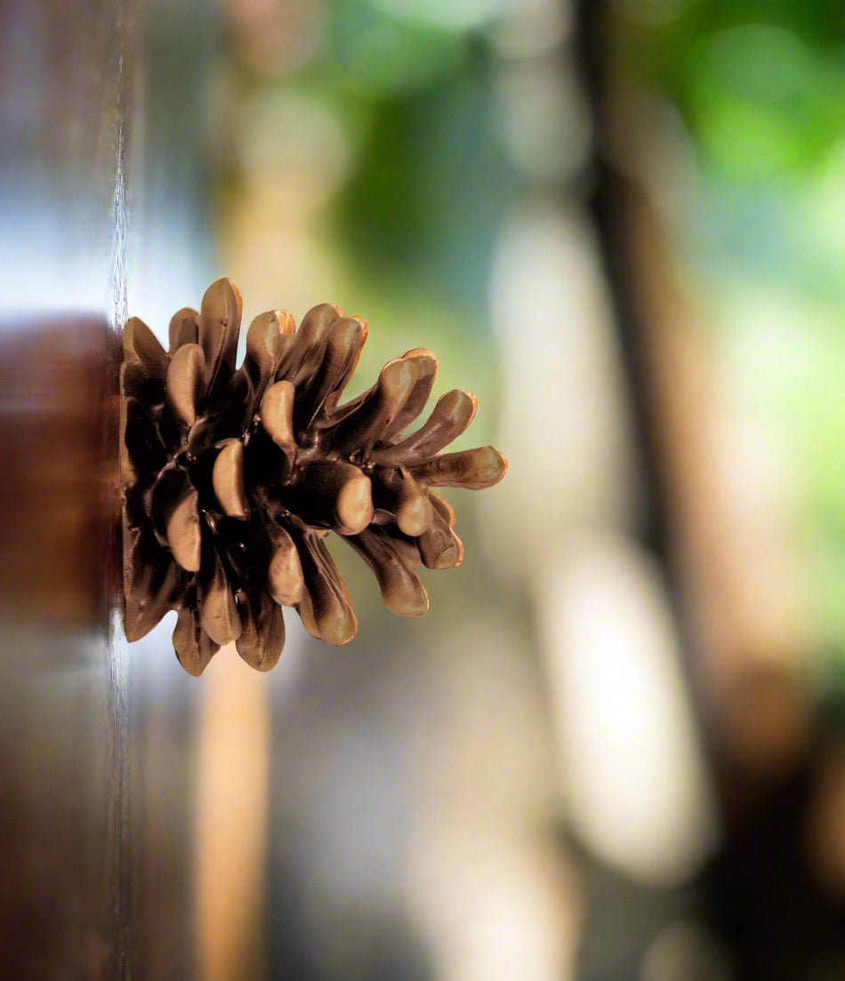 Lodgepole Pinecone Horizontal Knob | Large