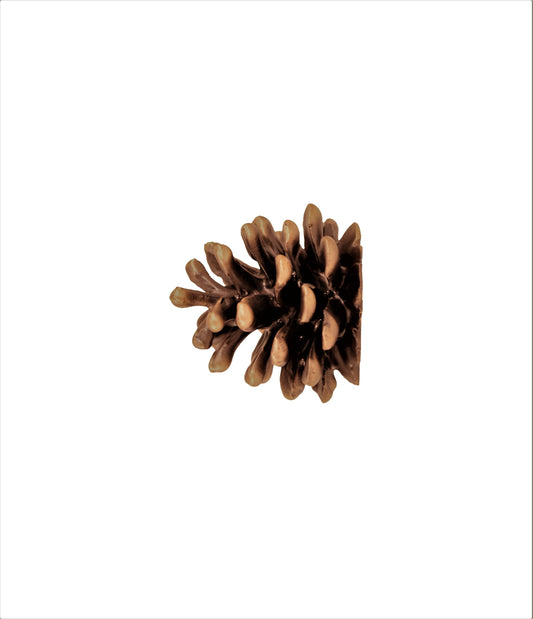 Lodgepole Pinecone Horizontal Knob | Large