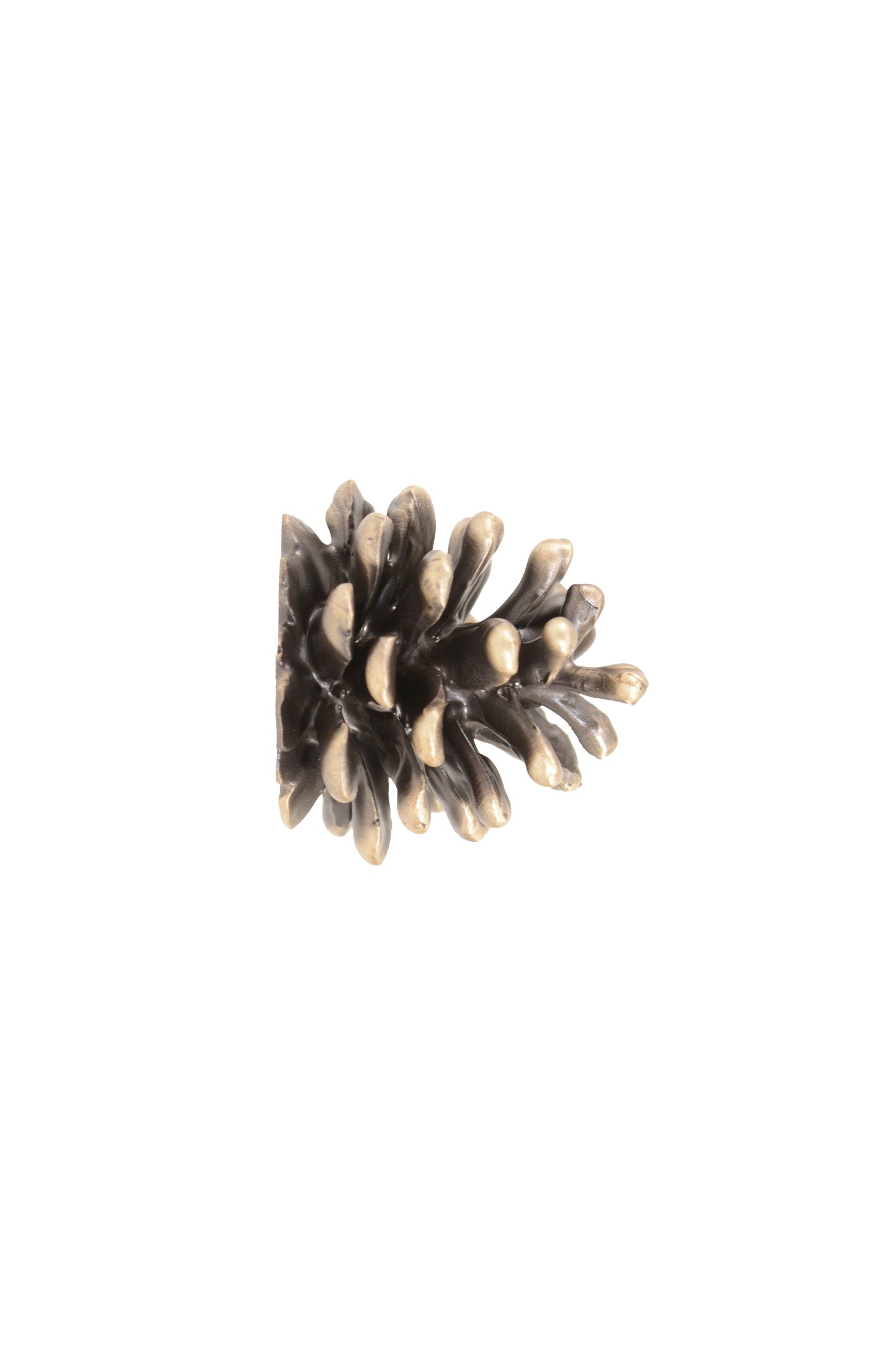 Lodgepole Pinecone Horizontal Knob | Large