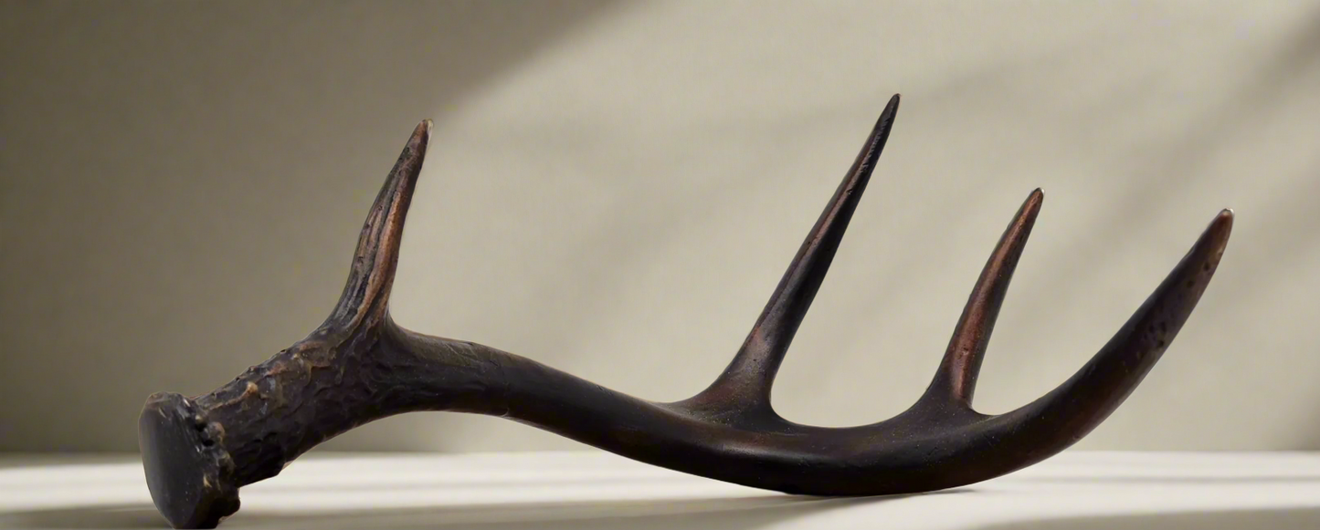Bronze White-Tailed Deer Antler Sculpture