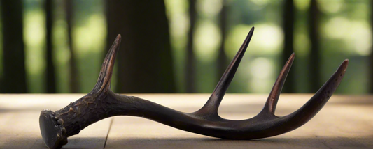 Bronze White-Tailed Deer Antler Sculpture