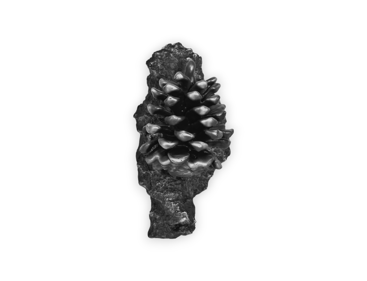 Door Knocker-Ponderosa Pinecone