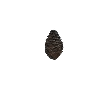 Solid Bronze cabinet knob is a lodgepole pine cone