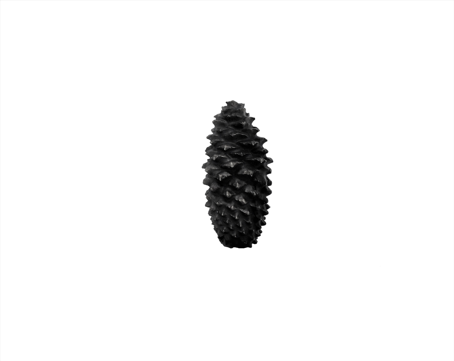 Lodgepole Closed Pinecone Knob, XL