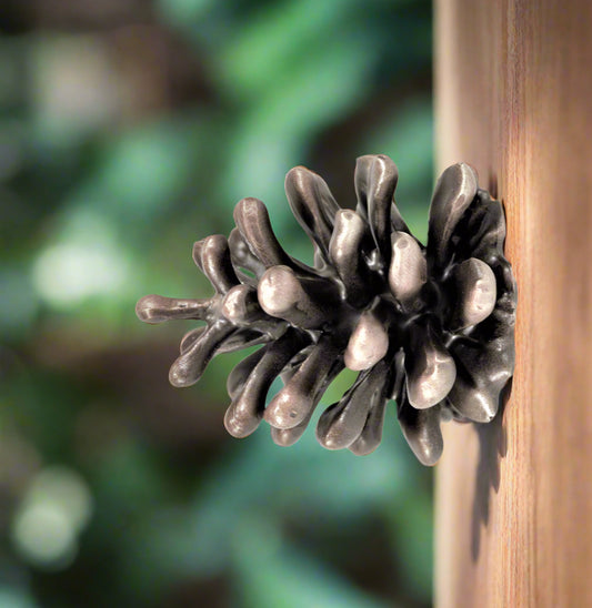 Lodgepole Pinecone Horizontal Knob | Medium