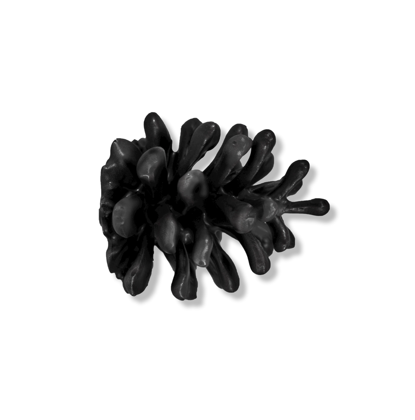 Lodgepole Pinecone Horizontal Knob-Medium