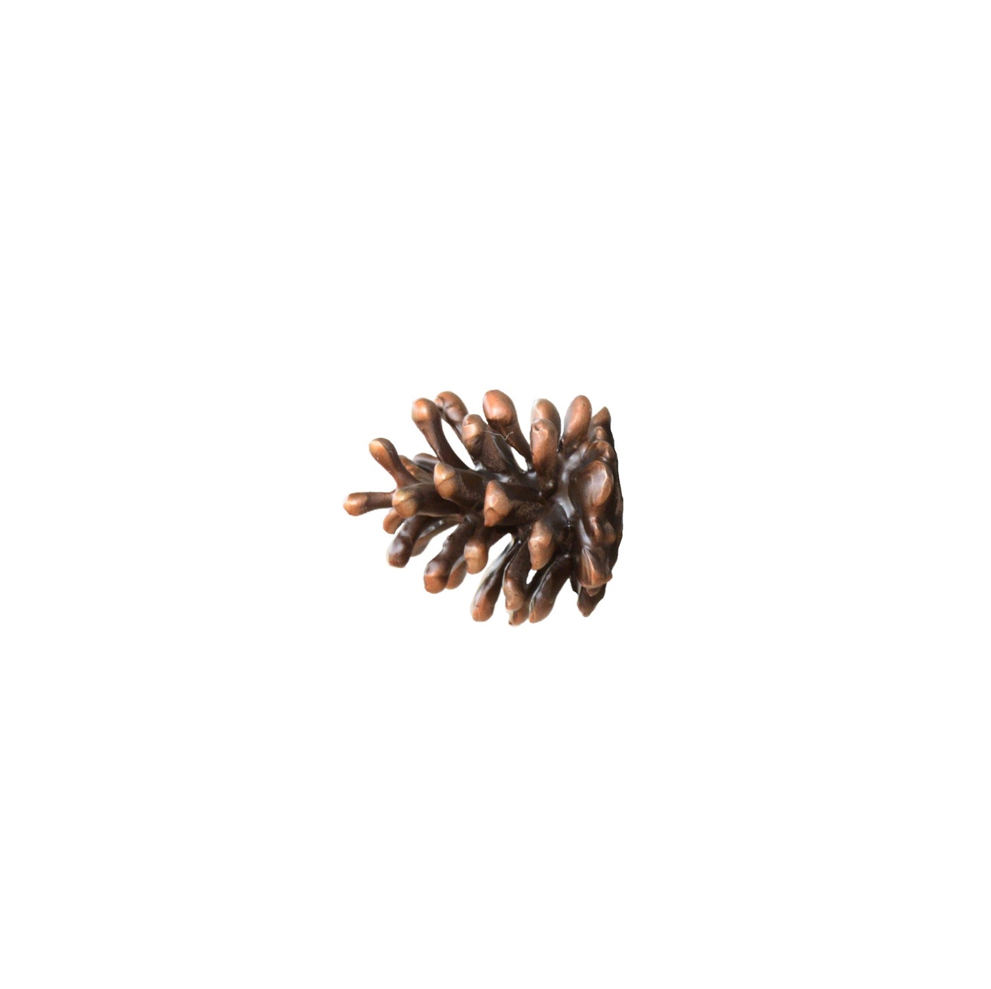Lodgepole Pinecone Horizontal Knob-Medium