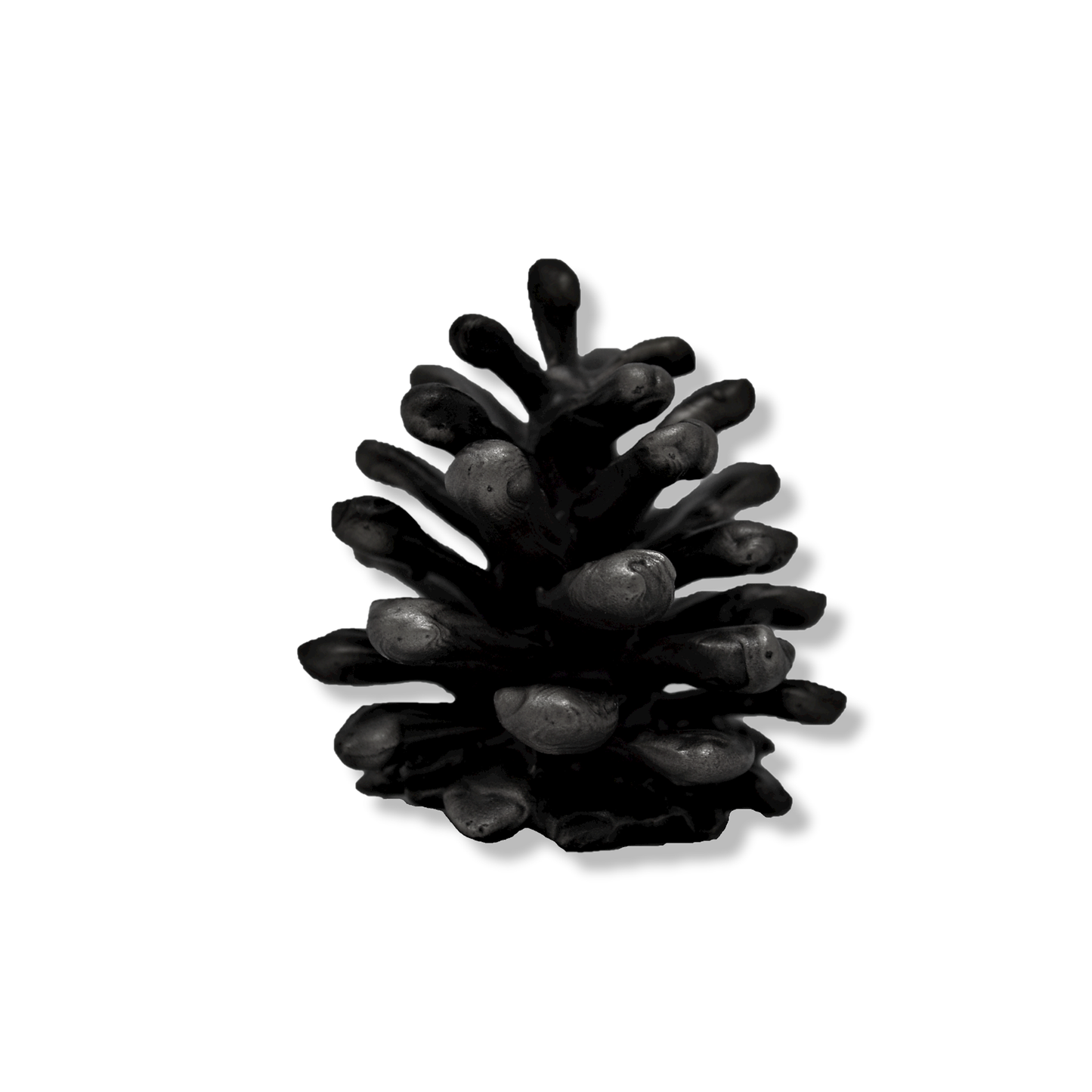Lodgepole Pinecone Vertical Knob-Medium