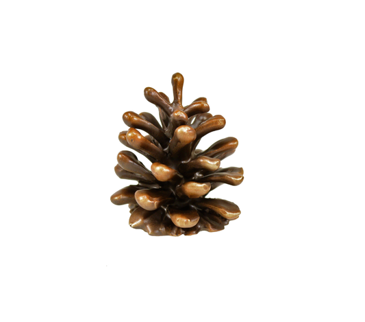 Lodgepole Pinecone Vertical Knob-Medium