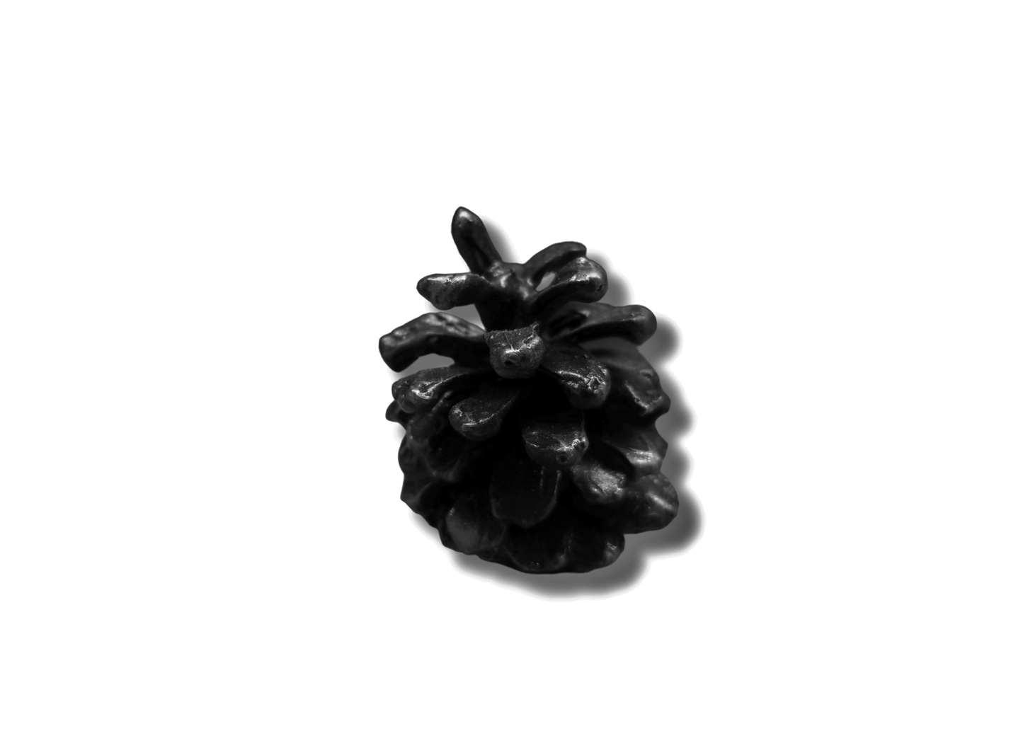 Lodgepole Pinecone Knob-Extra Small