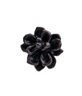 Pinyon Pine Cone Knob (Large) | Timber Bronze | Oregon