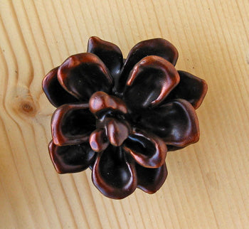 Pinyon Pine Cone Knob (Large 1) | Timber Bronze | Oregon