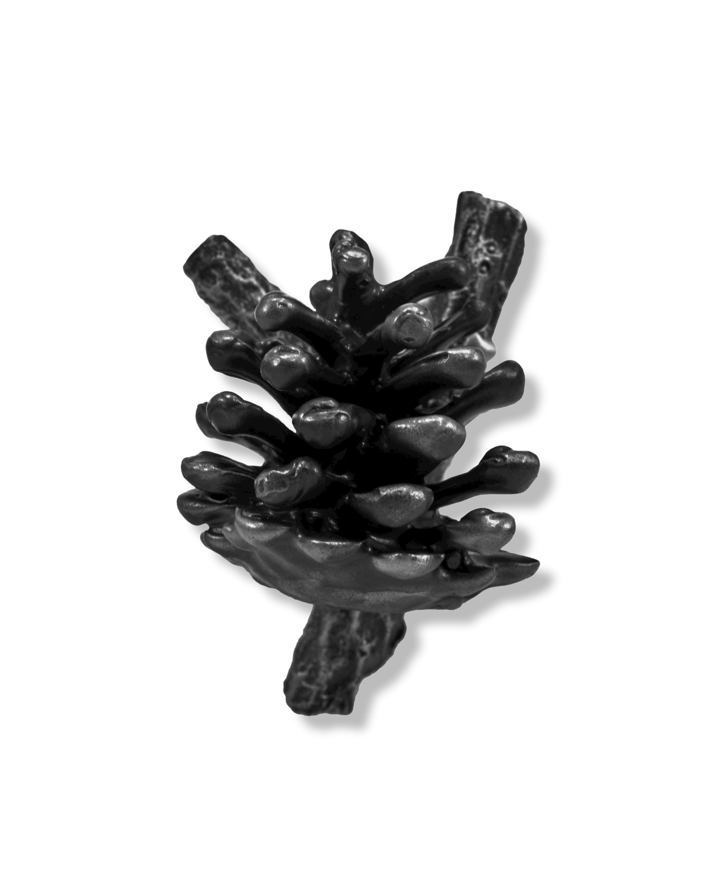 Lodgepole Pinecone Vertical Y Branch Pull