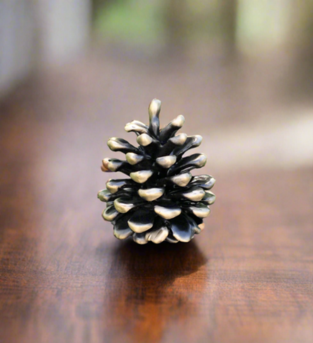 An Update to the Story of the Pinecone