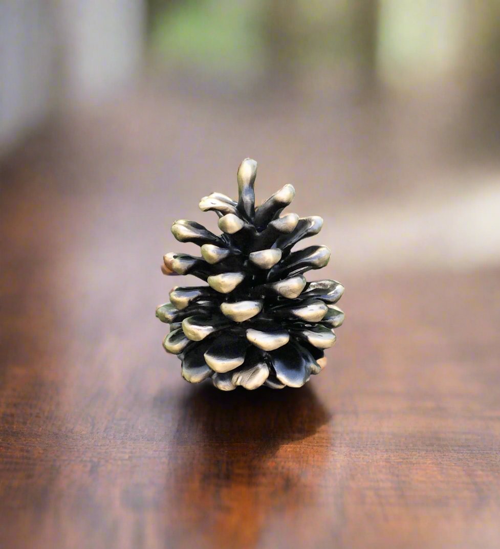 Bronze Cones