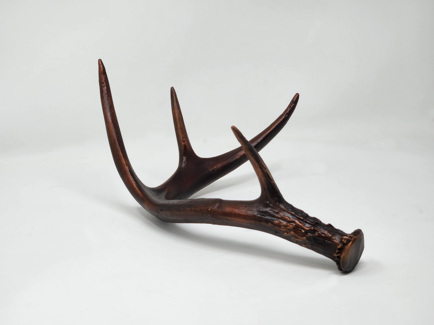 Bronze White-Tailed Deer Antler Sculpture