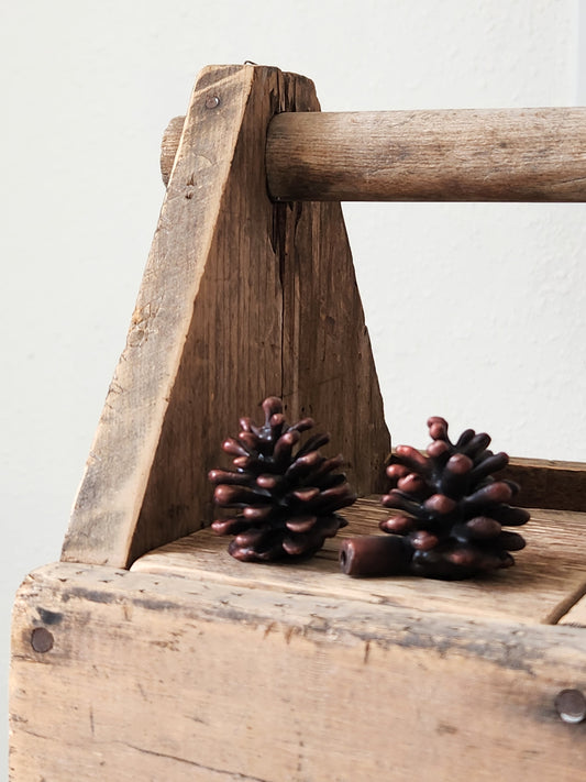 Lodgepole Pinecone Vertical Knob | Large