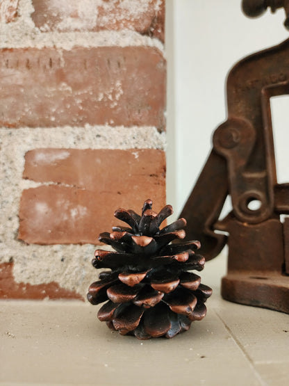 Ponderosa Pinecone Finial | Small