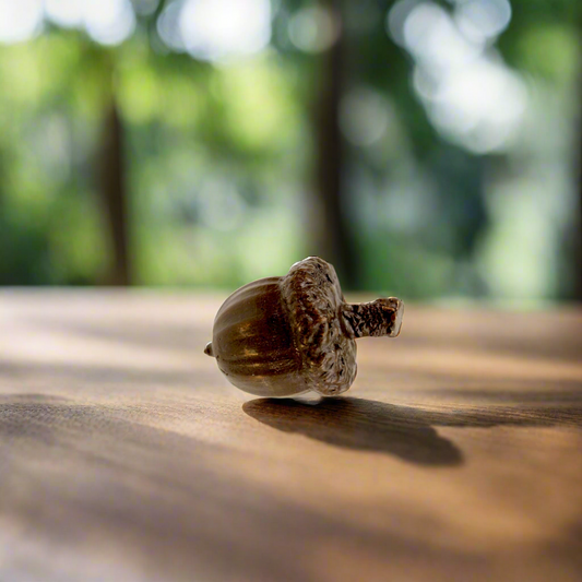 Acorns | Small-Large
