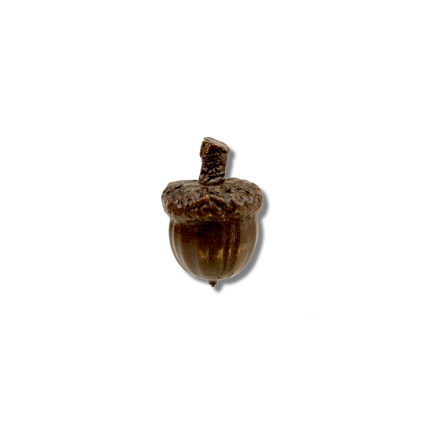 Acorns | Small-Large