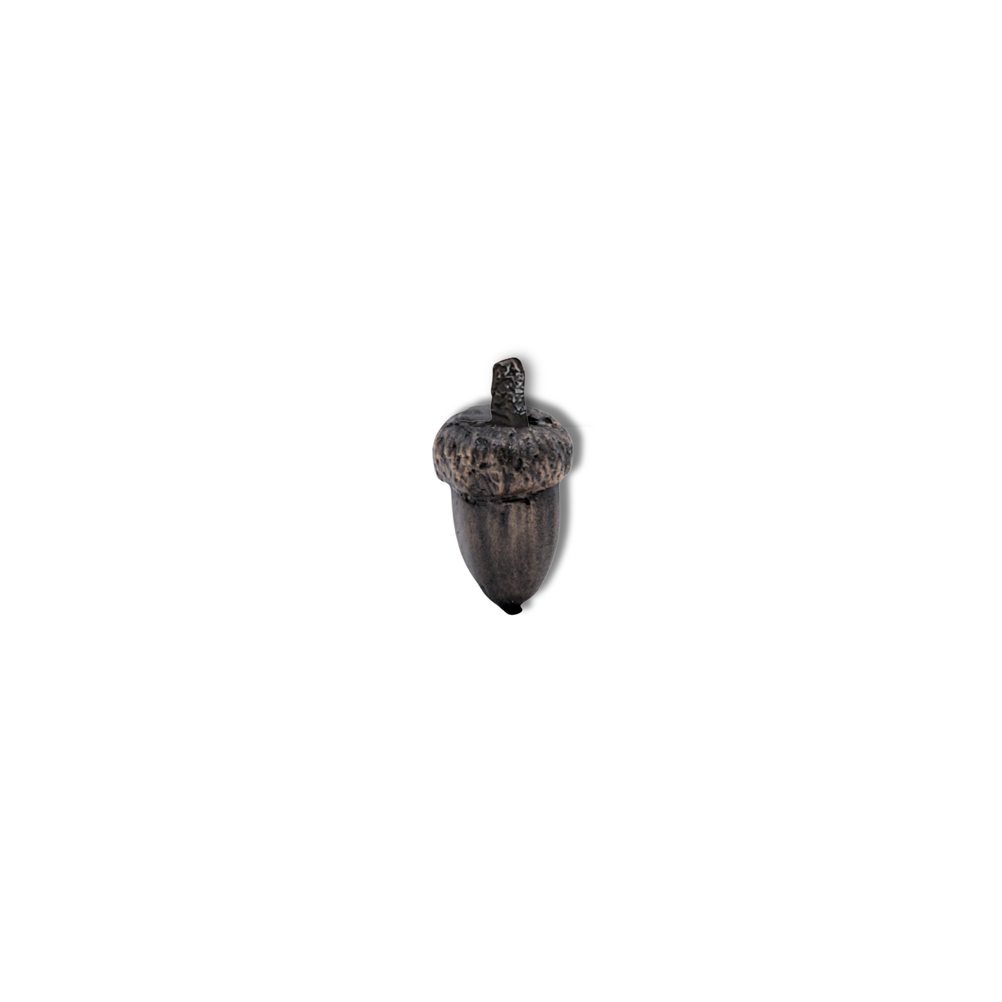 Acorns | Small-Large