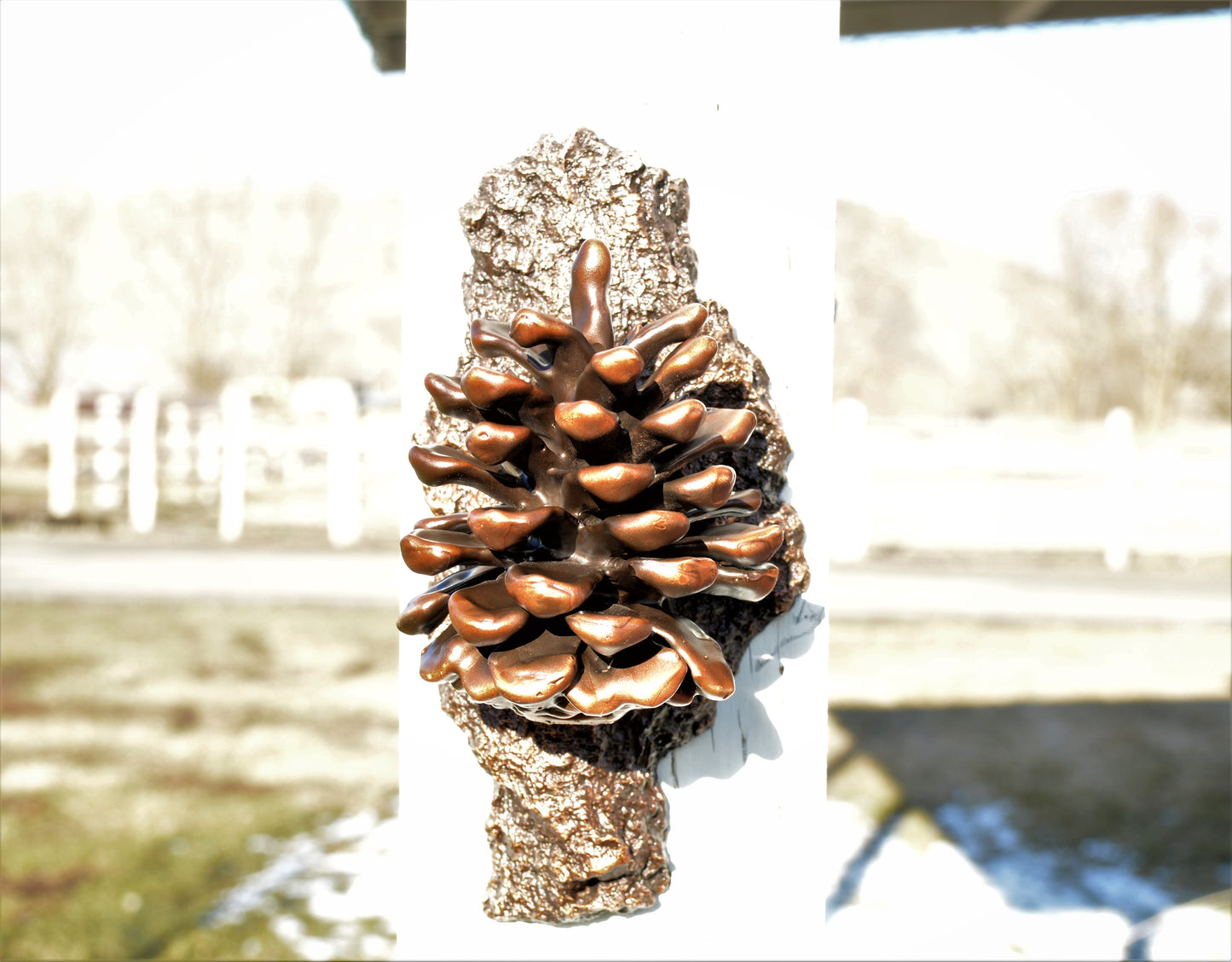 Door Knocker | Ponderosa Pinecone