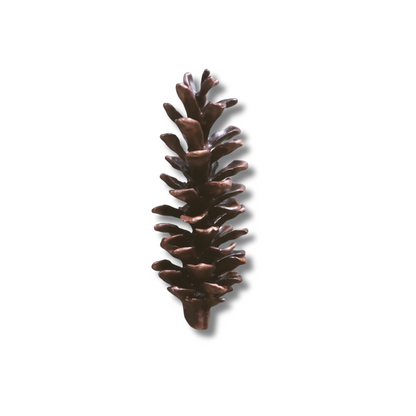 White Pine Cone Door Knocker