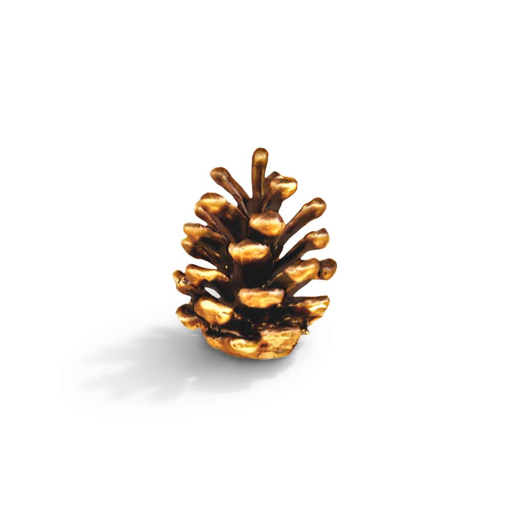 Lodgepole Cone Finial | Small