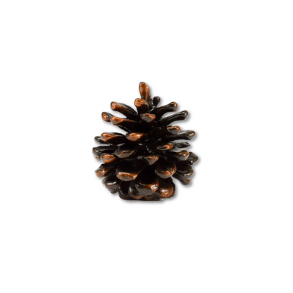 Ponderosa Pinecone Finial | Medium Small