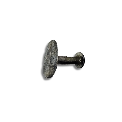 Fern Fossil Hook