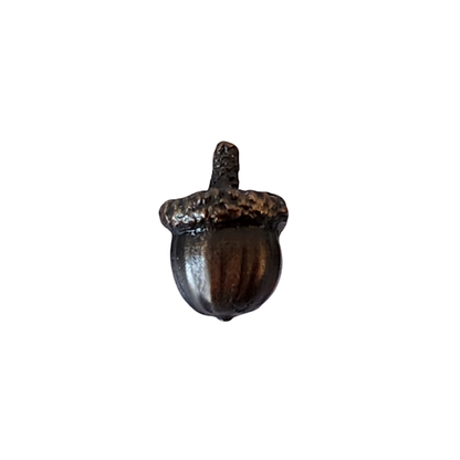 Acorns | Small-Large