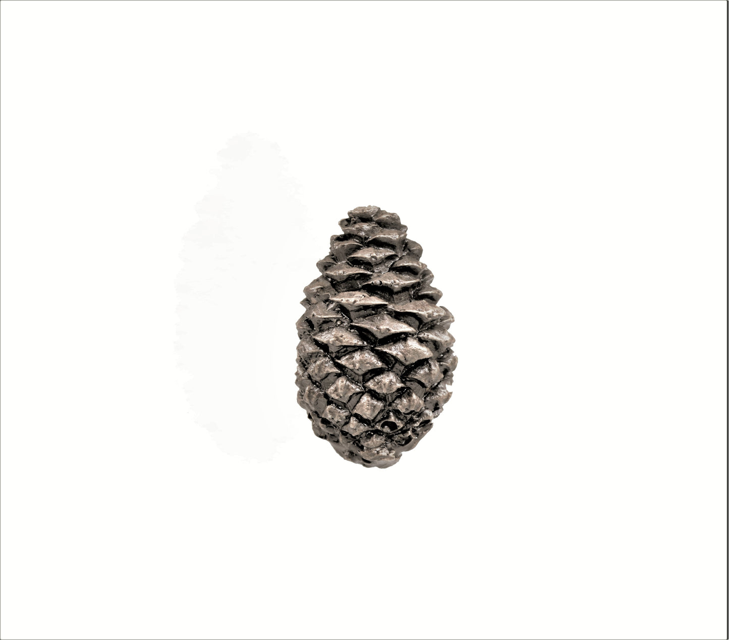 Lodgepole Closed Pinecone Knob | Small - Large