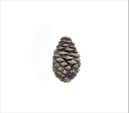 Lodgepole Closed Pinecone Knob | Small - Large