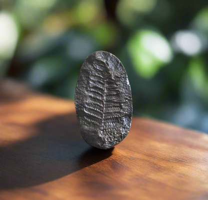 Fern Fossil Cabinet Knob