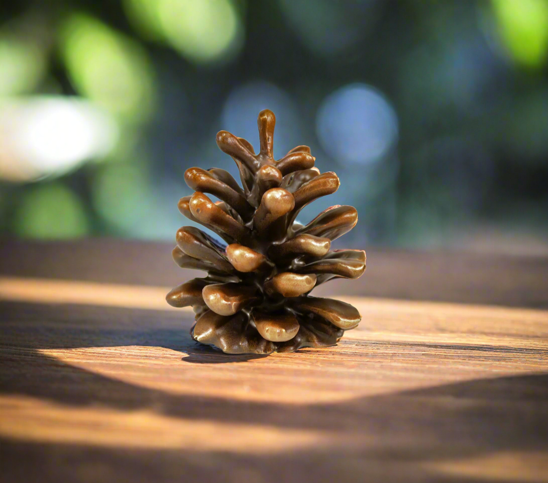 Lodgepole Pinecone Vertical Knob | Medium