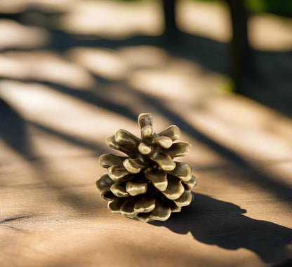 Lodgepole Cone Knob | Knoppy