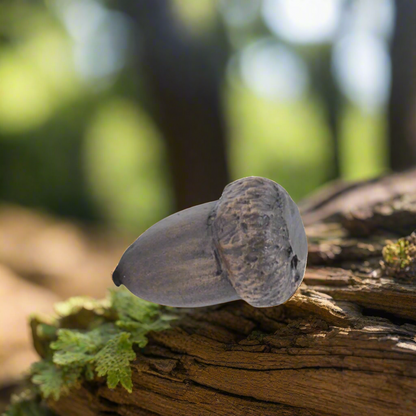 Acorns