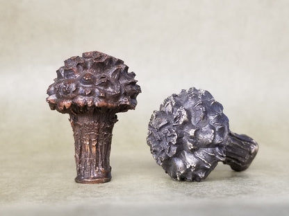 Muffin top toadstool mushroom cabinet knob made of bronze