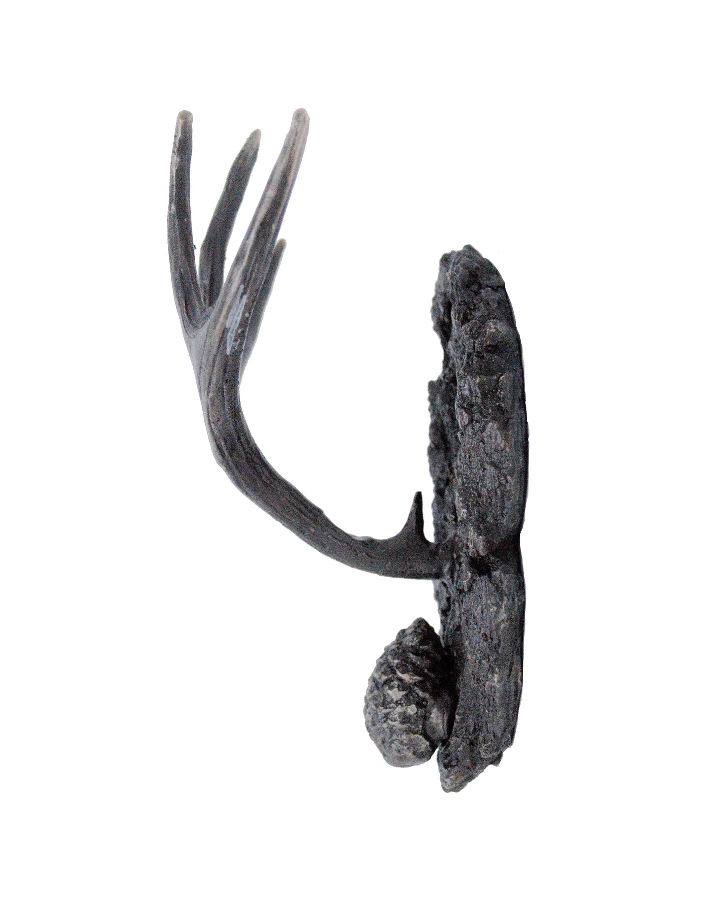Mule Deer Antler Hook | Timber Bronze | Oregon