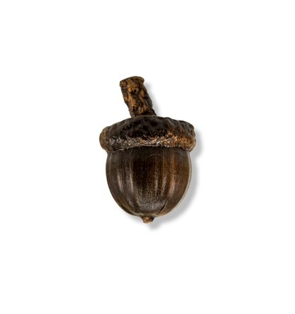 Bronze acorn cabinet knob with stem. Traditional patina.