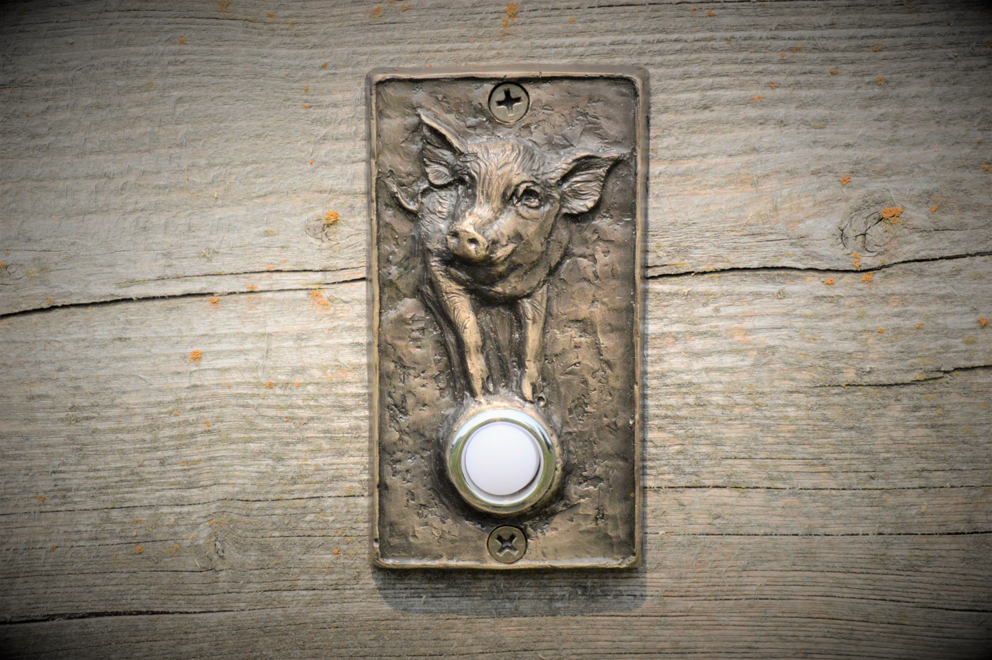 Rectangle Pig Doorbell