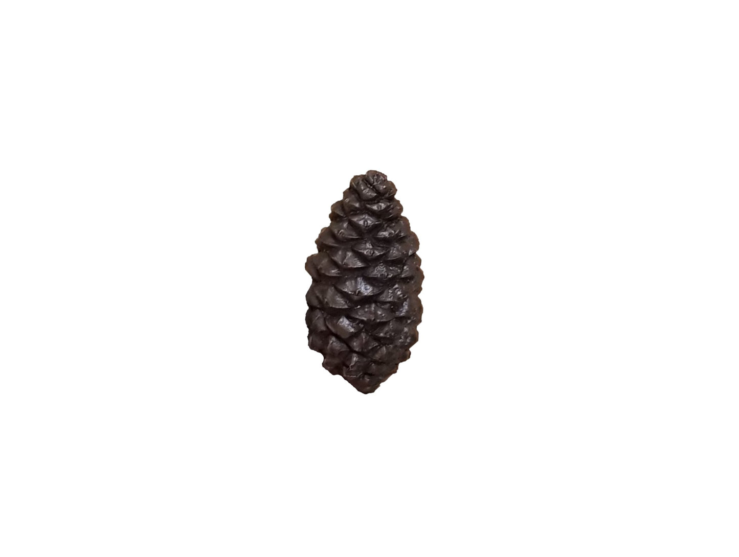 Pine Cone cabinet knob made of solid bronze