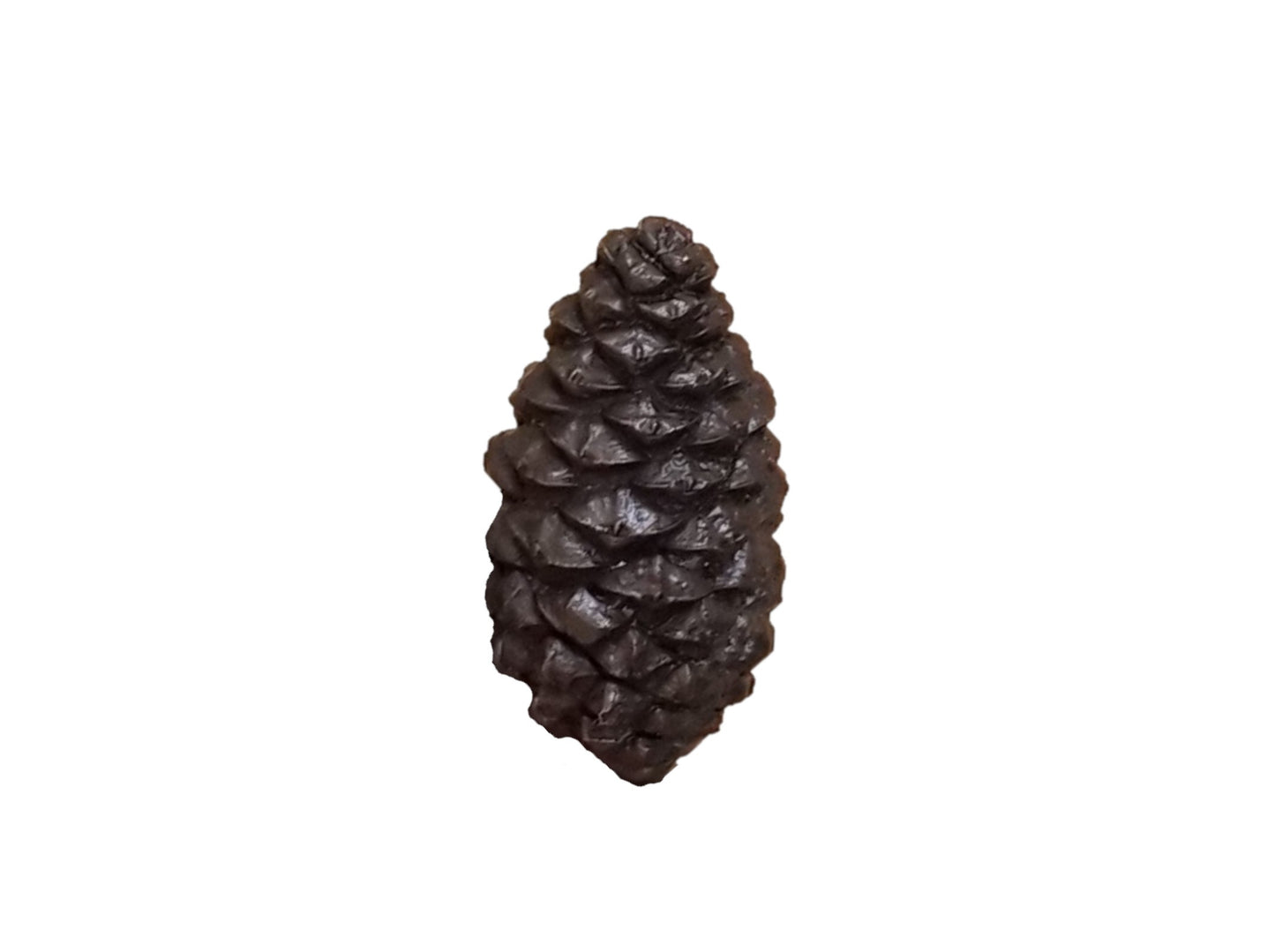 Bronze Cabinet Knob is closed pine cone