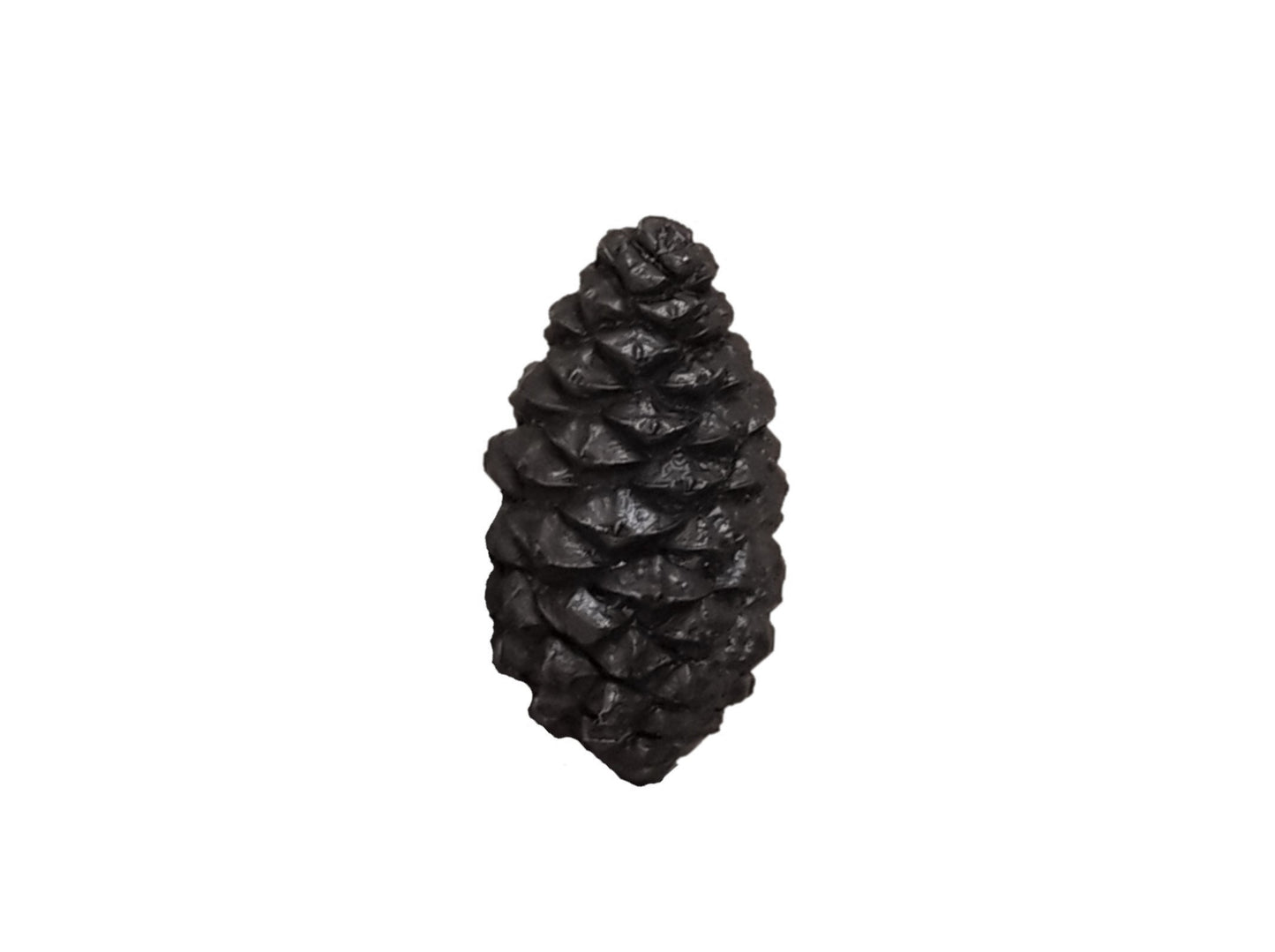 Lodgepole Closed Pinecone Knob-Small, Medium, Large