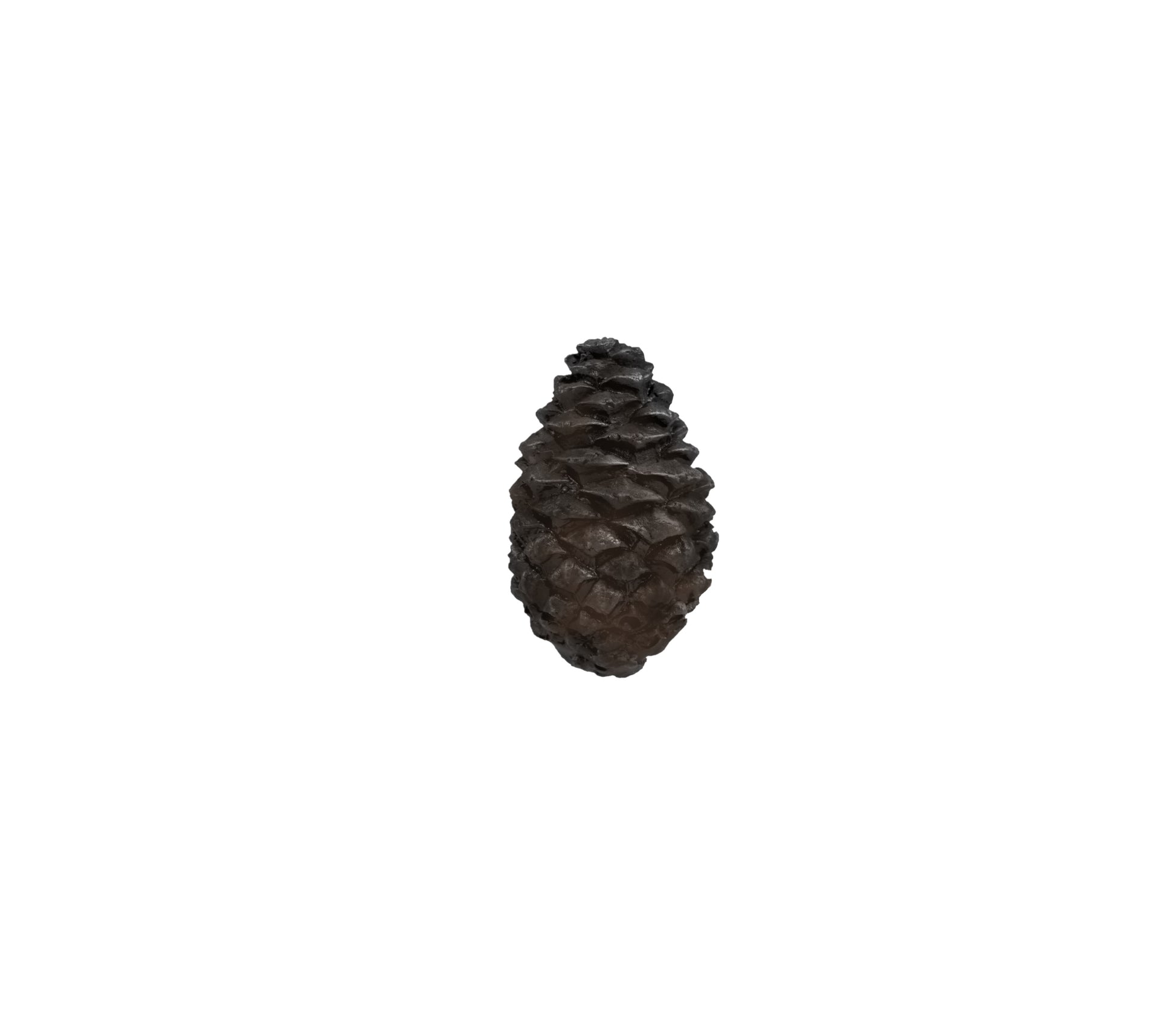 Solid Bronze cabinet knob is a lodgepole pine cone